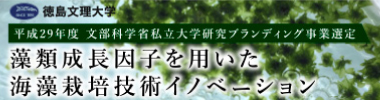 藻類成長因子を用いた海藻栽培技術イノベーション