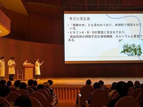 モリンガとは