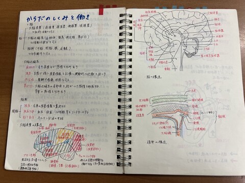 手作りの勉強ノート