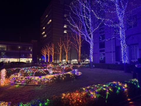 イルミネーション