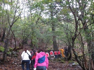 3-img_4088