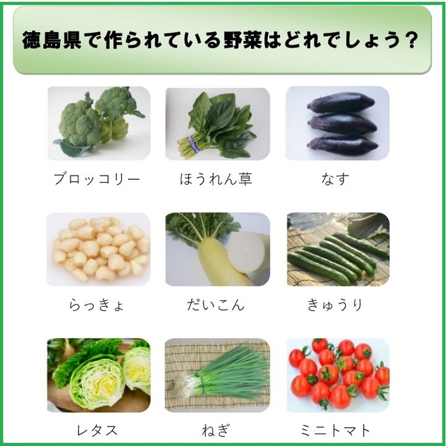 野菜クイズ