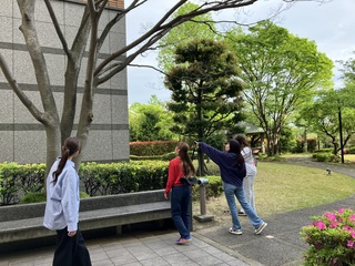 IMG_3637 探索2