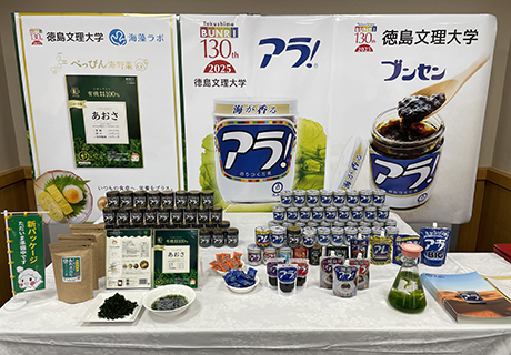 アラとあおさのりの展示
