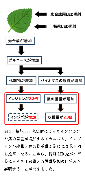 ナノ5