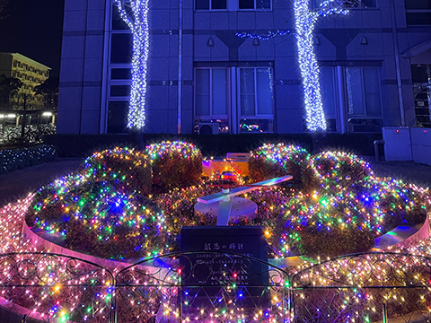 徳島キャンパスイルミネーション点灯式2