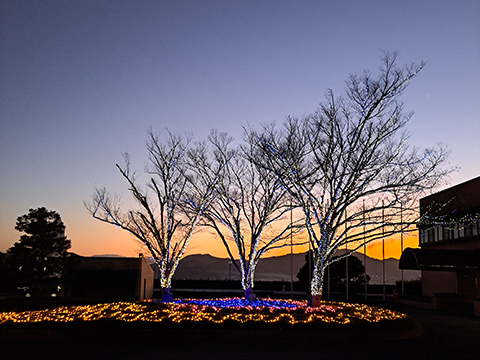 香川キャンパスイルミネーション点灯式2