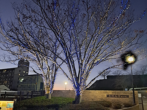 香川キャンパスイルミネーション点灯式1
