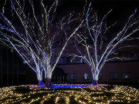 香川キャンパスイルミネーション点灯式5