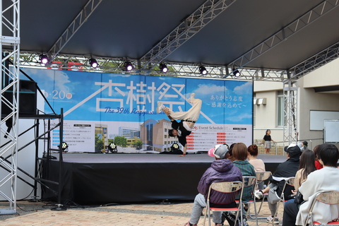 杏樹祭2024-2