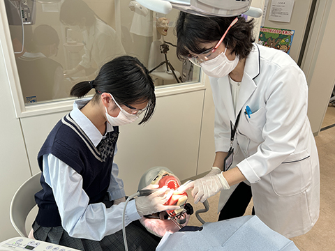 口腔保健学科