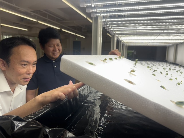 徳島文理大学が取り組む大豆の水耕栽培研究