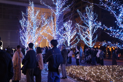 イルミネーション点灯式②