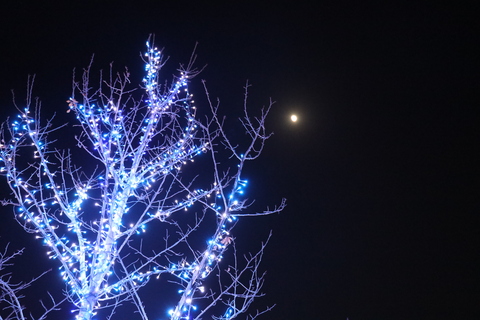 イルミネーション点灯式⑧