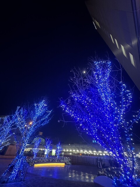 イルミネーション点灯式⑩