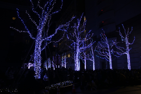 イルミネーション①