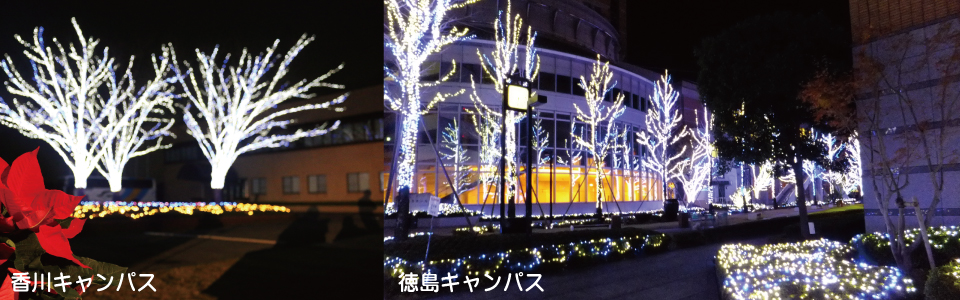 irumi